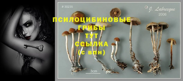 apvp Аркадак