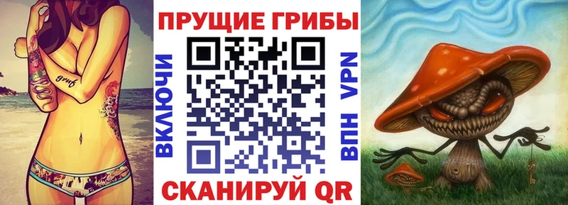 Галлюциногенные грибы мицелий  Аткарск 